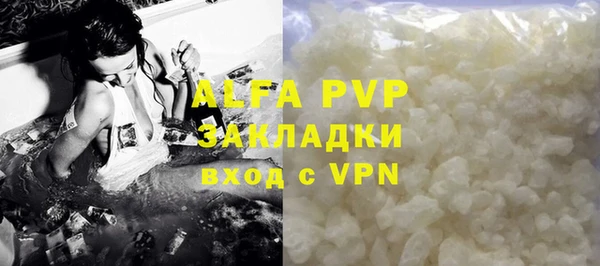 ГАЛЛЮЦИНОГЕННЫЕ ГРИБЫ Белокуриха