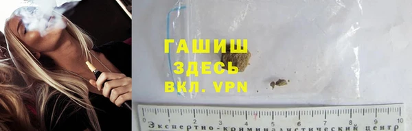 ГАЛЛЮЦИНОГЕННЫЕ ГРИБЫ Белокуриха