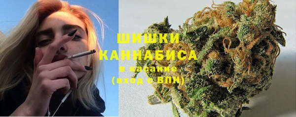 ГАЛЛЮЦИНОГЕННЫЕ ГРИБЫ Белокуриха