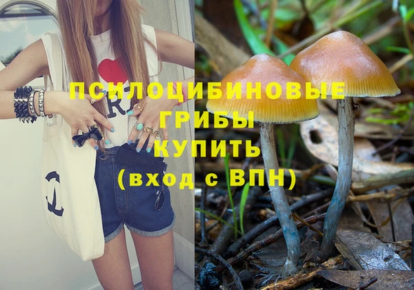 мяу мяу мука Балабаново